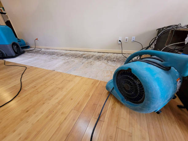 Professional Burst Pipe Water Damage technician working in Redgranite, WI